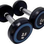 PAIR OF 2.5 KG DUMBBELLS — HOME STRENGTH TRAINING