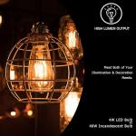 LUXON LED BULBS AMBER GLASS WARM 2700K FILAMENT LIGHT, 4W