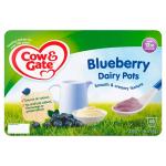 COW & GATE BLUEBERRY DAIRY POTS FROM 12+ MONTHS